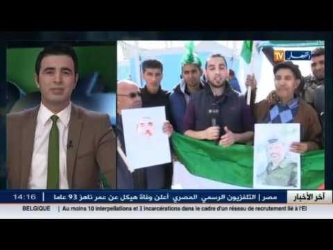 الجزائريون يناصرون المنتخب الفلسطيني في المبارات الودية أمام الجزائر