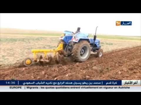 الأمطار تبعث النشاط الفلاحي من جديد