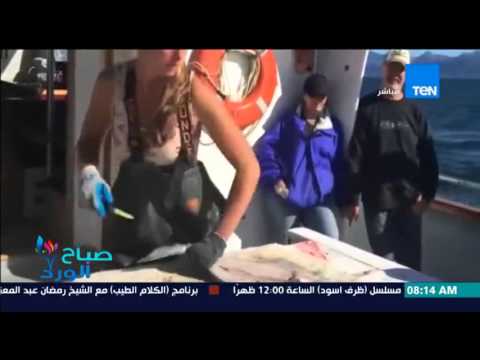 فتاة غاية في الجمال تقطع السمك بطريقة رائعة وسريعة