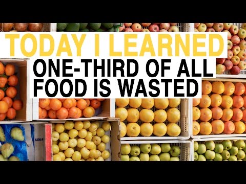 ناشيونال جيوغرافيك تؤكد أن العالم يرمى ثلث طعامه في القمامة