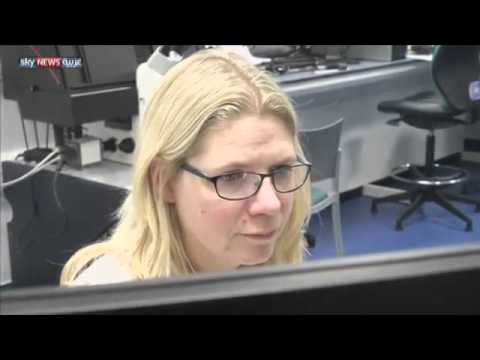 شاهد اكتشاف يمهد لاستراتيجيات علاجية متطورة للسكري