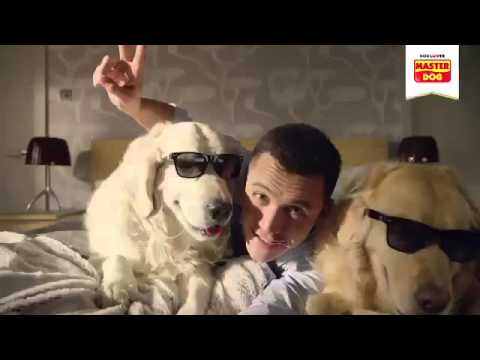 شاهد صحيفة بريطانية تنصح بالابتعاد عن الكلاب بسبب نجم آرسنال