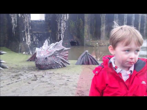 تنين ضخم يظهر فى مقاطعة ويلز البريطانية