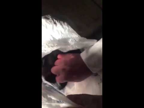 بالفيديو خادمة تجمع «الشعر» من المنازل