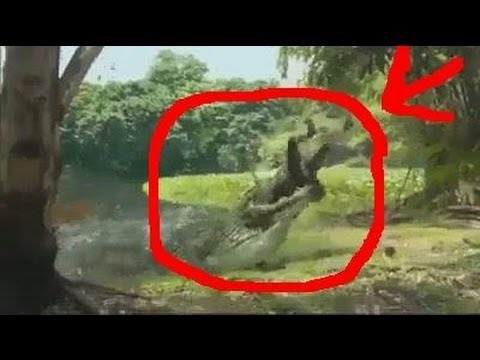 تمساح ياكل فتاه بسبب صوره سيلفي