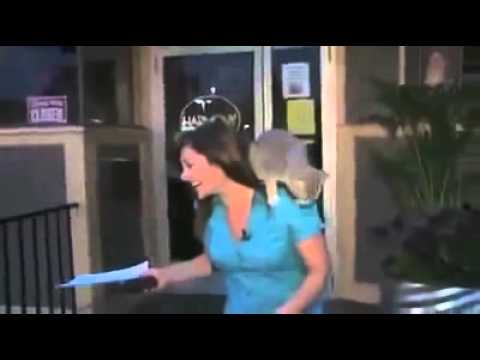 حينما تنتقم الحيوانات من البشر