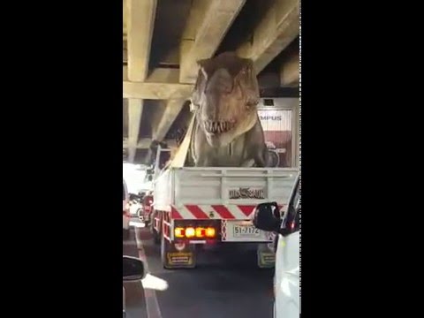 شاهد ديناصور آكل للحوم يتجول في شوارع تايلاند