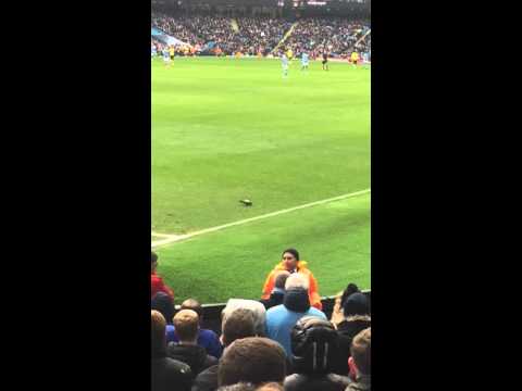 شاهد حمامة تشعل مدرجات مانشستر سيتي في لقاء أستون فيلا