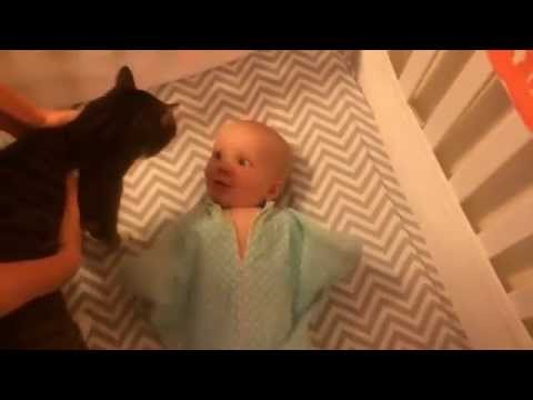 ردة فعل مضحكة لطفل يرى قطة عائلته لأول مرة