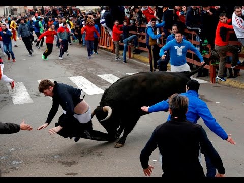 جنون الثيران على الحلبات الدولية