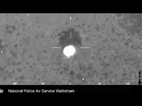 7 ساعات بالفيديو كلب يحرس صاحبه العالق في الطين