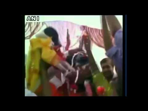 شاهدخمسة آلاف هندي في زفاف كلبين