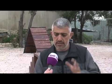 شاهد مدرسة لتدريب الكلاب البوليسية في بيروت