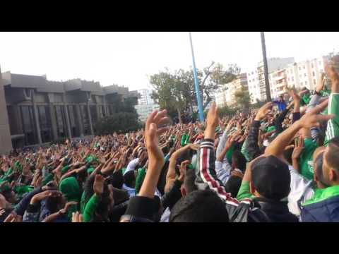 شاهد بالفيديو هتافات مشجعي الرجاء البيضاوي