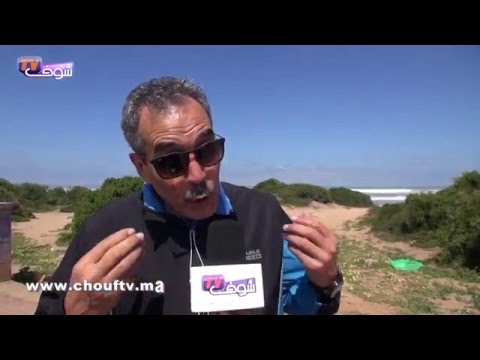 تعرف على توقعات مباراة المنتخب المغربي ضد الرأس الأخضر