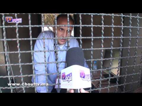 شاهد إقبال كبير على تذاكر مباراة المنتخب