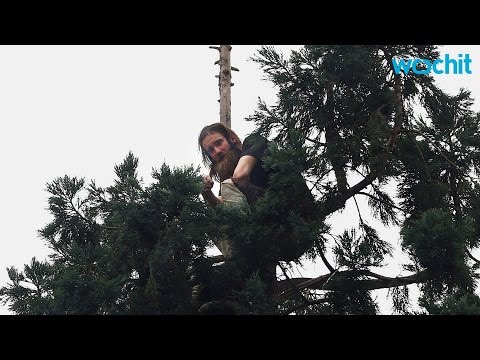 أميركي يقف أمام القضاء بتهمة التهجم على شجرة