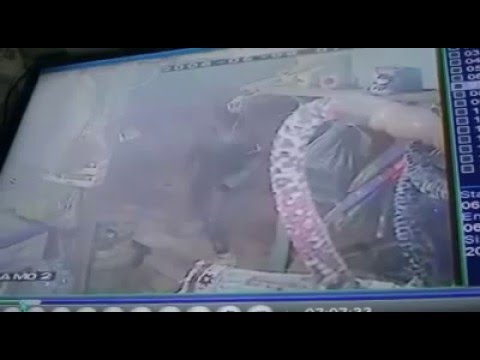 شاهد شاب يسرق محل أدوات منزلية في الأردن