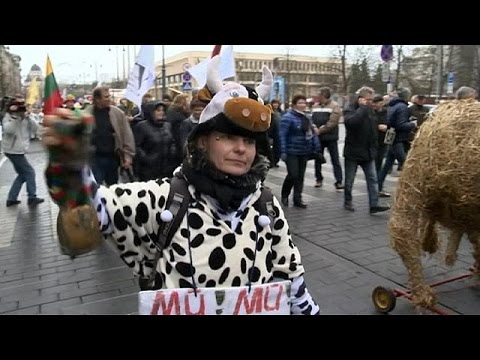 منتجو الألبان يتظاهرون ضد حكومة ليتوانيا بالهياكل العظمية للأبقار
