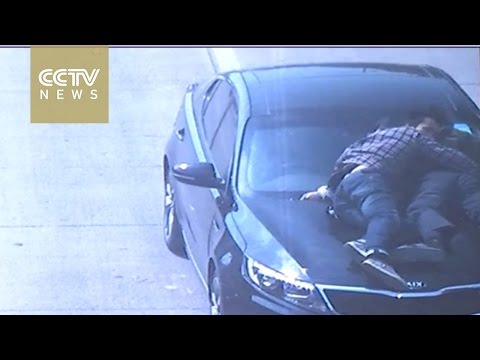 سائق يعاقب والده وأخيه بتركهما على غطاء المحرك