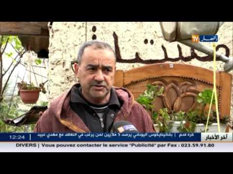 فيديو إبراهيم يحول المزبلة إلى مشتلة