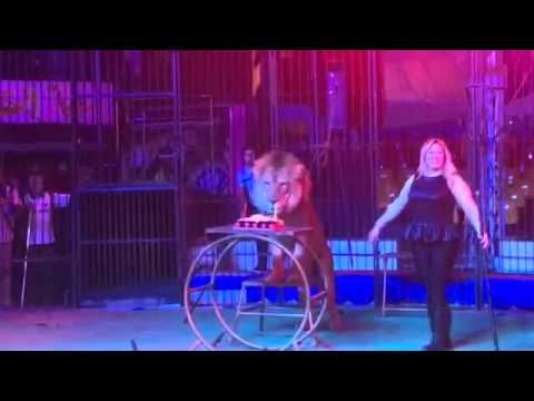 فيديو لوبا الحلو تأكل التورتة برفقة الأسد