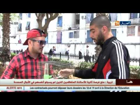 شاهد الجزائري والمقنين قصة حب غريبة
