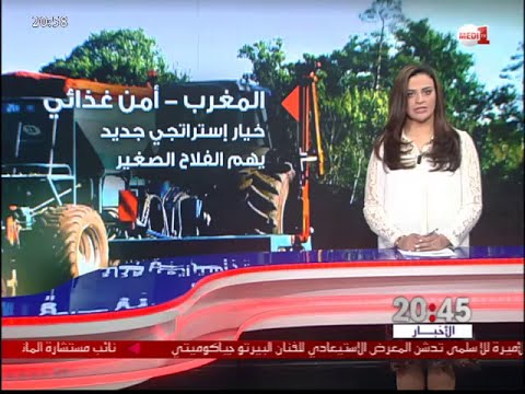 المغرب وجهود ضمان الأمن الغذائي لجميع المواطنين