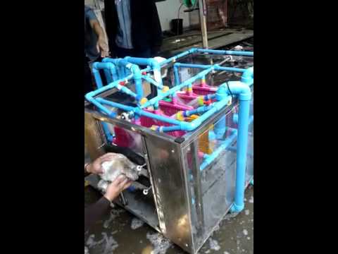 أحدث ما وصل له العلم”غسالة كلاب”