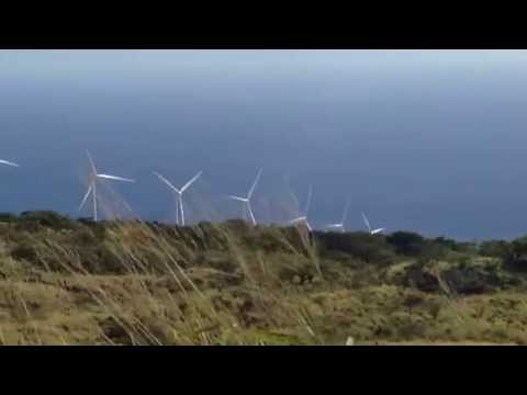 ساحر يتحدَّى اتجاه الرياح