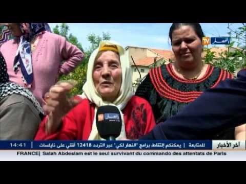 أخبار الجزائر العميقة