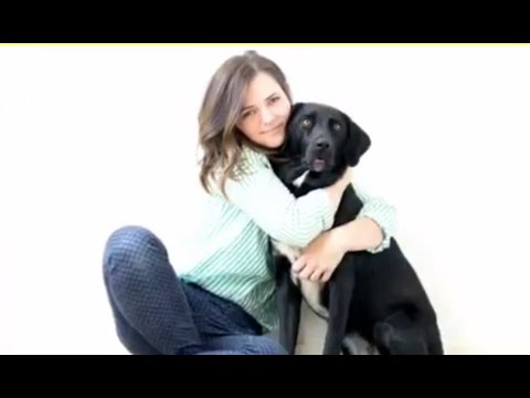 الكلاب لا تحب الأحضان